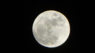 DSC06539.JPG