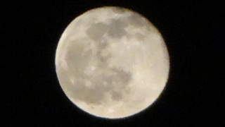 DSC07318.JPG